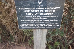 outdooreco.com-addo-elephant-park-111