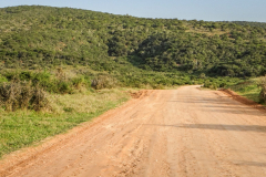 outdooreco.com-addo-elephant-park-54
