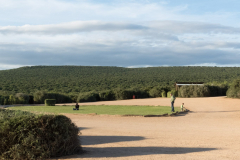 outdooreco.com-addo-elephant-park-83