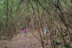 outdooreco.com-groendal-nature-reserve-13