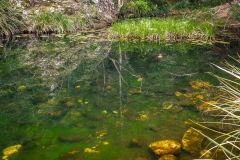 outdooreco.com-groendal-nature-reserve-22