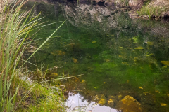 outdooreco.com-groendal-nature-reserve-23