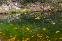 outdooreco.com-groendal-nature-reserve-24