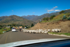outdooreco.com-semonkong-022