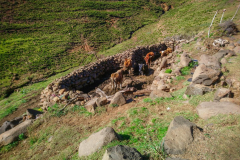 outdooreco.com-semonkong-143