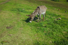 outdooreco.com-semonkong-160