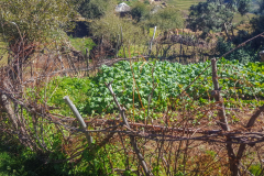 outdooreco.com-semonkong-161