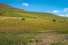 outdooreco.com-semonkong-167
