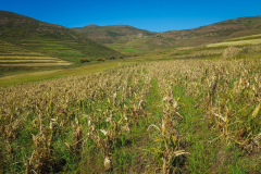 outdooreco.com-semonkong-170