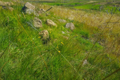 outdooreco.com-semonkong-173