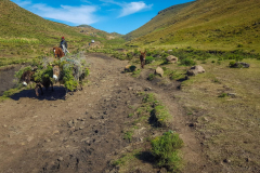 outdooreco.com-semonkong-185
