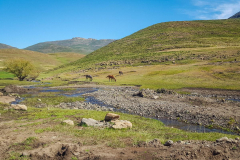 outdooreco.com-semonkong-189