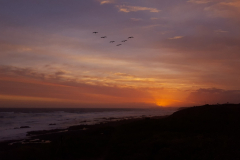 outdooreco.com-port-elizabeth-1