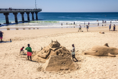 outdooreco.com-port-elizabeth-gallery-11