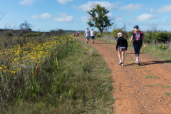 outdooreco.com-port-elizabeth-gallery-23