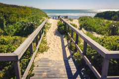 outdooreco.com-port-elizabeth-gallery-26