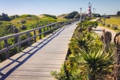 outdooreco.com-port-elizabeth-gallery-27