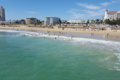 outdooreco.com-port-elizabeth-gallery-29