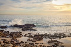 outdooreco.com-port-elizabeth-gallery-4