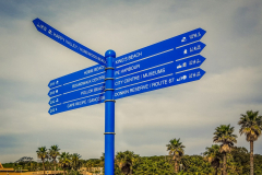 outdooreco.com-port-elizabeth-gallery-45