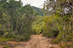 outdooreco.com-port-elizabeth-gallery-53