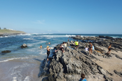 outdooreco.com-port-elizabeth-gallery-62