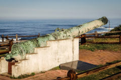 outdooreco.com-port-elizabeth-gallery-63
