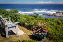 outdooreco.com-port-elizabeth-gallery-66
