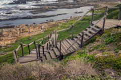 outdooreco.com-port-elizabeth-gallery-78