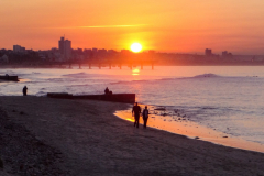 outdooreco.com-port-elizabeth-gallery-8