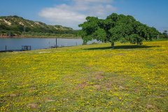 outdooreco.com-port-elizabeth-gallery-81