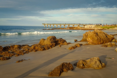 outdooreco.com-port-elizabeth-gallery-85