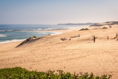 outdooreco.com-port-elizabeth-gallery-9