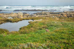 outdooreco.com-sacramento-trail-12