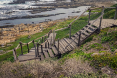 outdooreco.com-sacramento-trail-29
