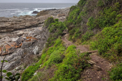 outdooreco.com-storms-river-mouth-018