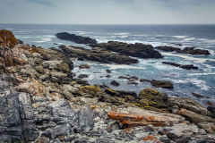 outdooreco.com-storms-river-mouth-021