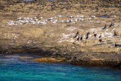 outdooreco.com-storms-river-mouth-042
