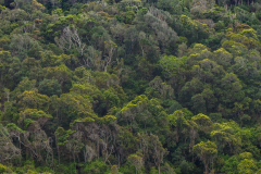 outdooreco.com-storms-river-mouth-047