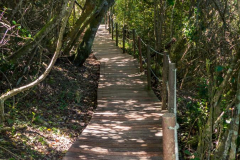 outdooreco.com-storms-river-mouth-073