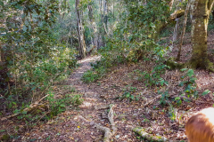 outdooreco.com-storms-river-mouth-087