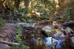outdooreco.com-storms-river-mouth-088