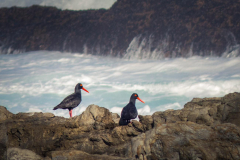 outdooreco.com-storms-river-mouth-096