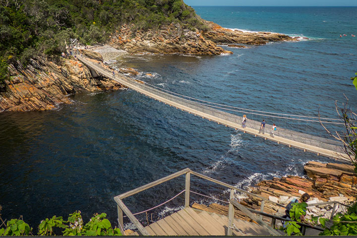 Exploring the Garden Route: The Western Cape’s Scenic Coastal Journey https://outdooreco.com/wp-content/uploads/2020/08/Storms-River-Mouth.jpg?utm_source=chatgpt.com